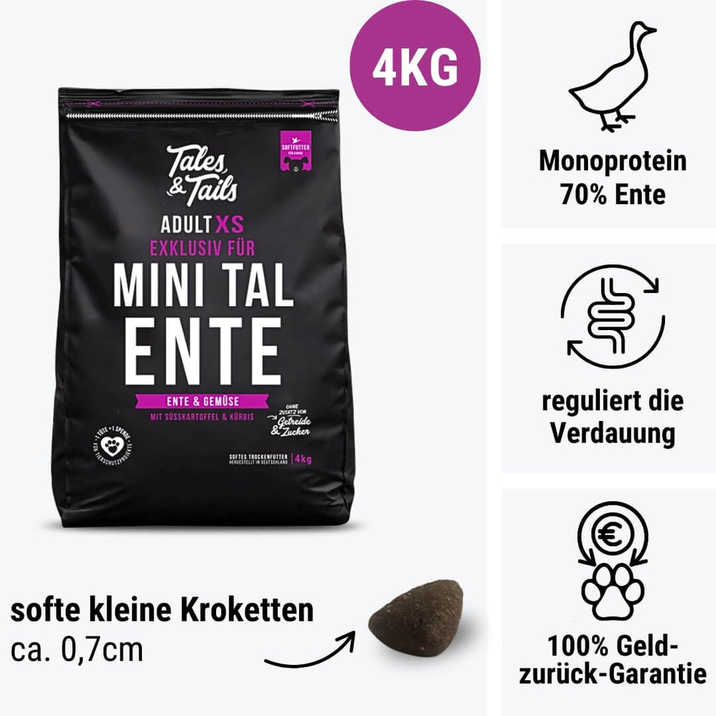 Exklusiv für Mini TalEnte