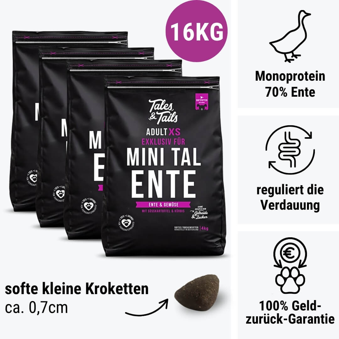 Exklusiv für Mini TalEnte