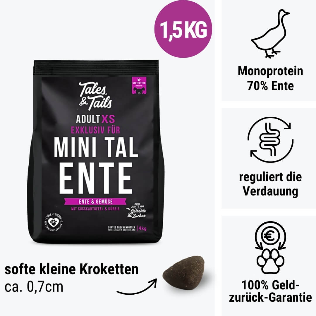 Exklusiv für Mini TalEnte