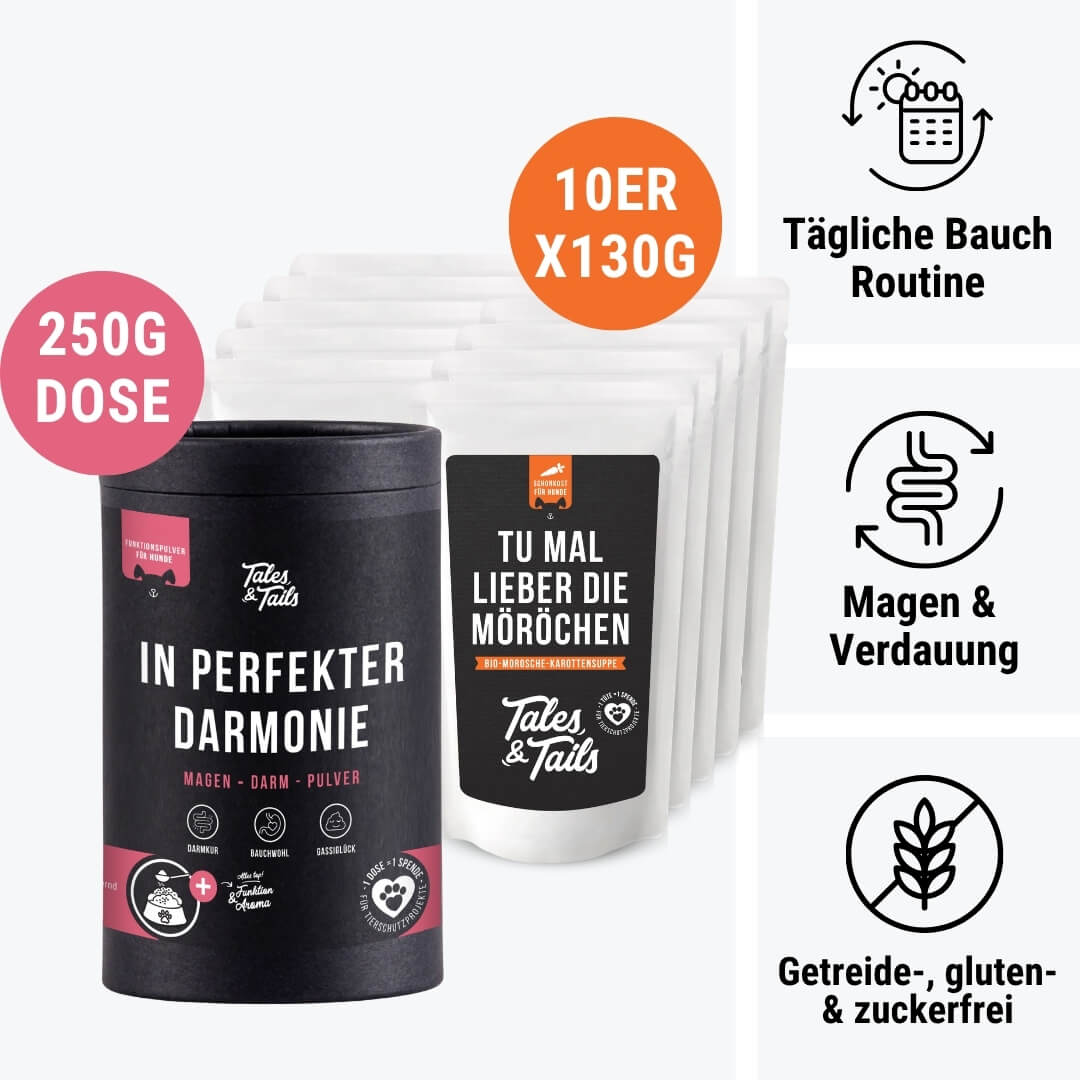 Bauch-Boost-Box