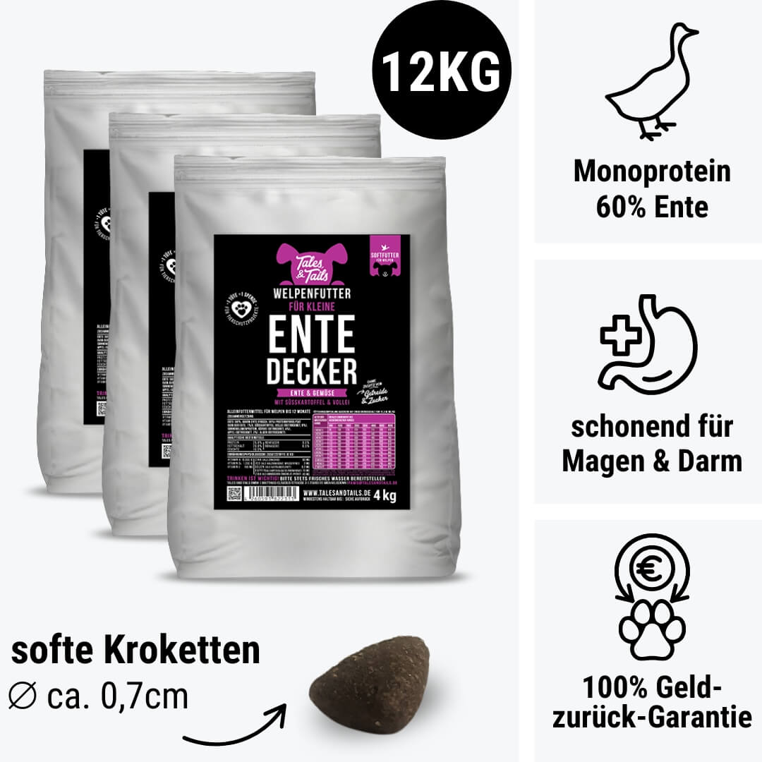 Für kleine EnteDecker