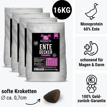 Für kleine EnteDecker