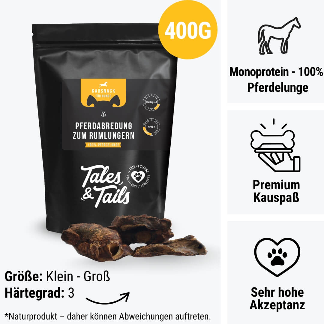 PferdAbredung zum Rumlungern