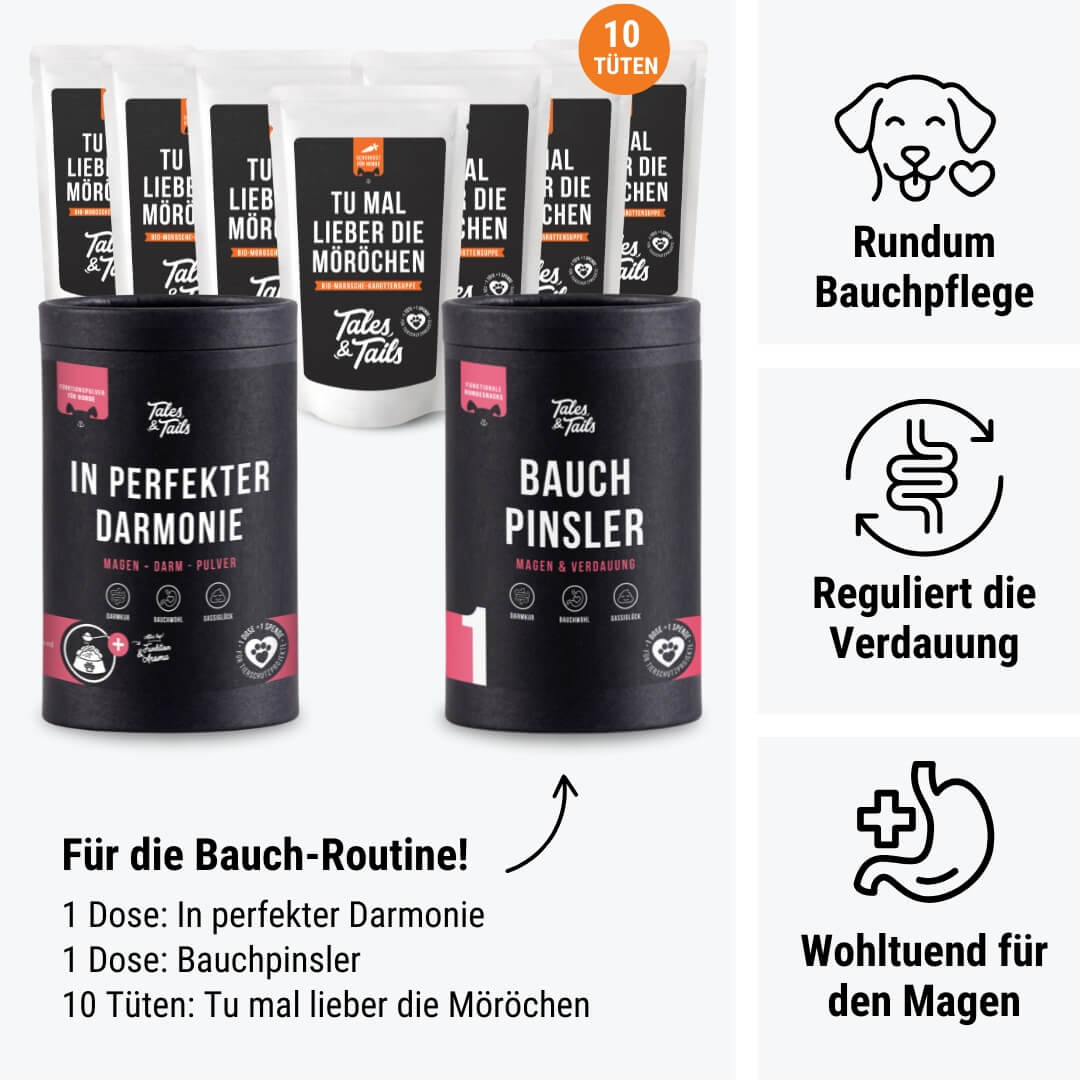 welches zelt magen darm Magen-Magie Box – Tales & Tails