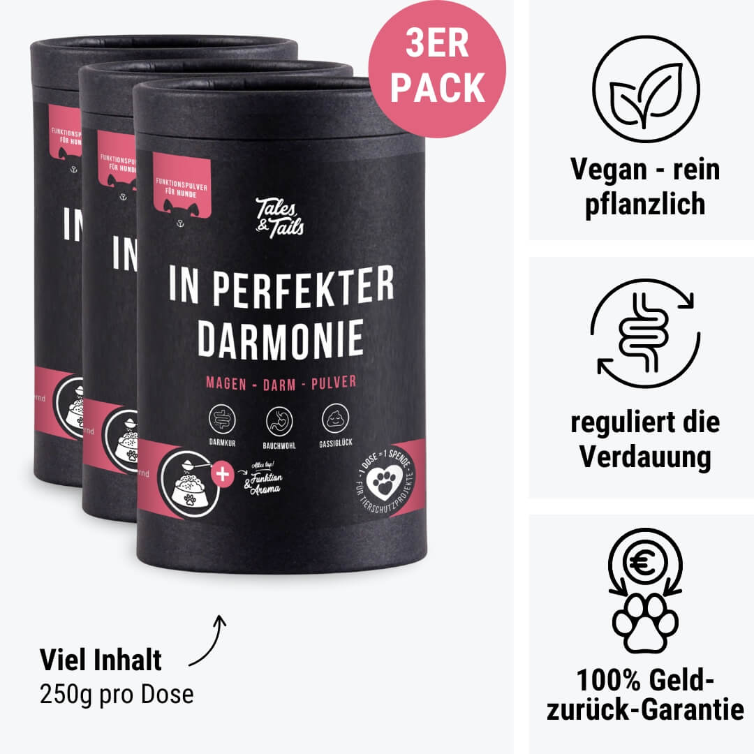 In perfekter Darmonie