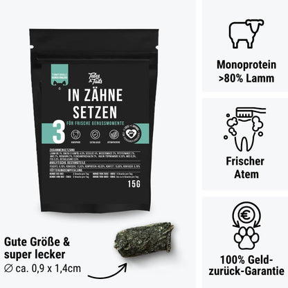 Probe - In Zähne setzen