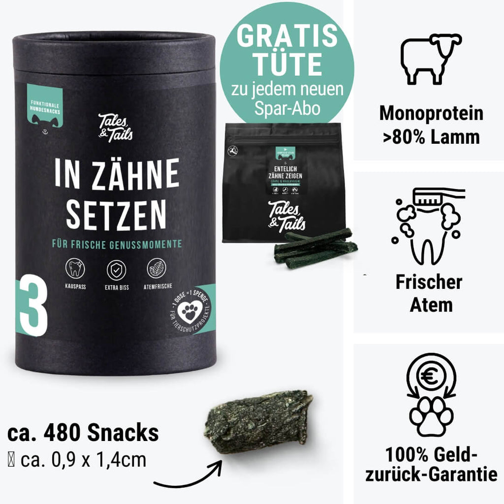 In Zähne setzen