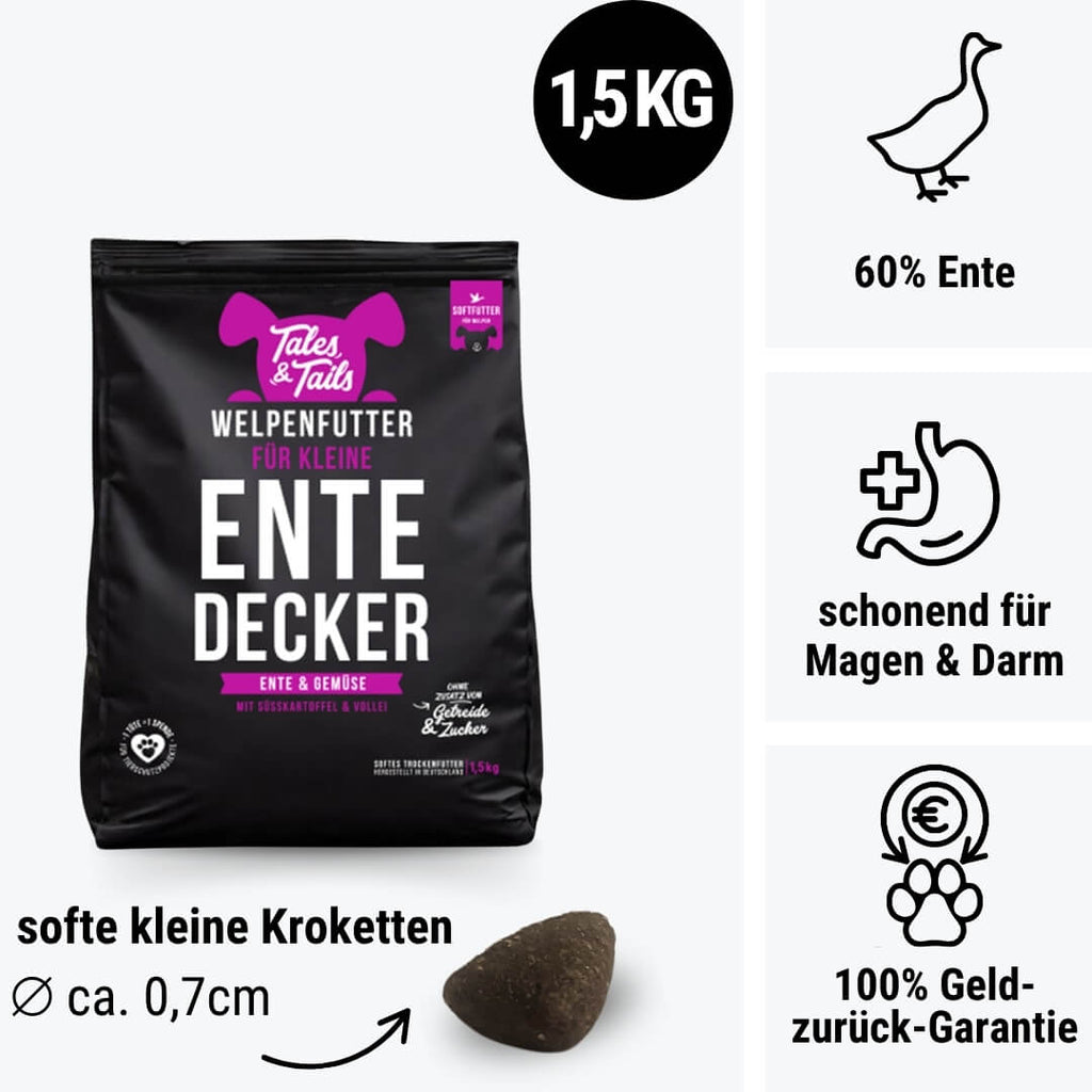 Für kleine EnteDecker