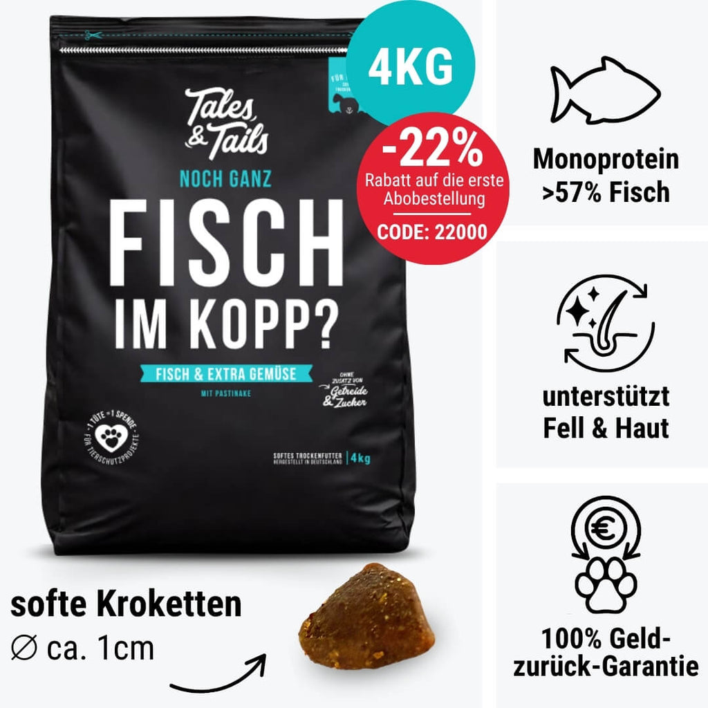 Noch ganz Fisch im Kopp?