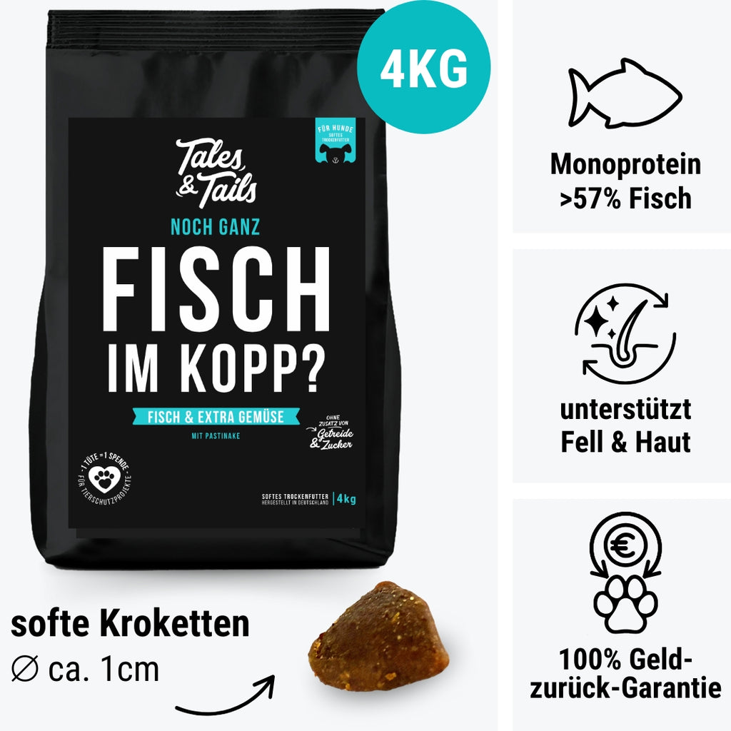 Noch ganz Fisch im Kopp?