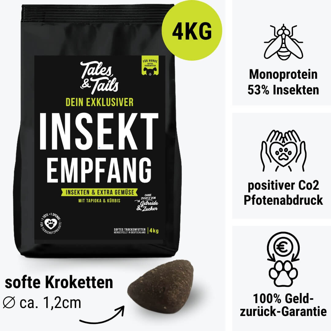 InSektempfang