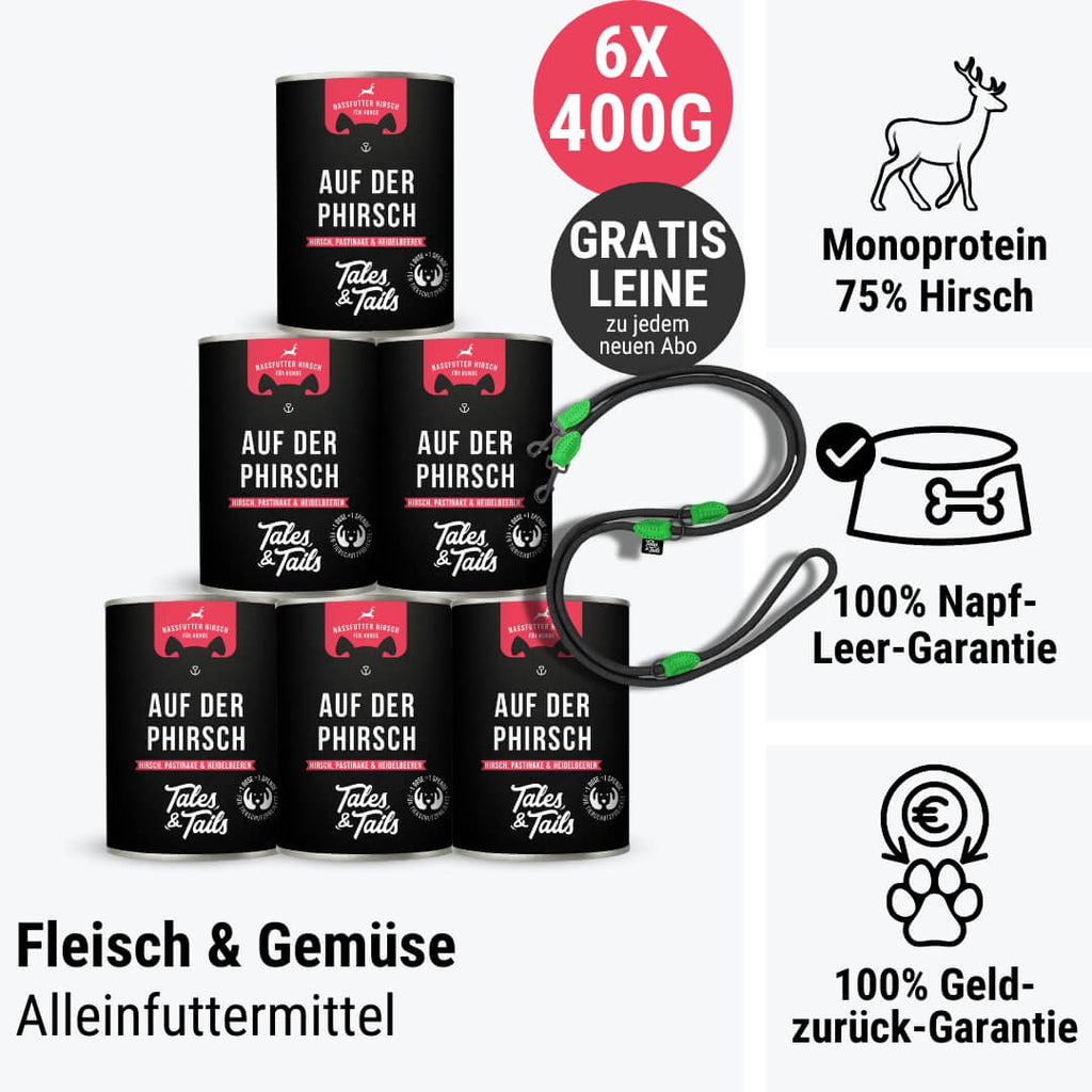 Auf der PHirsch