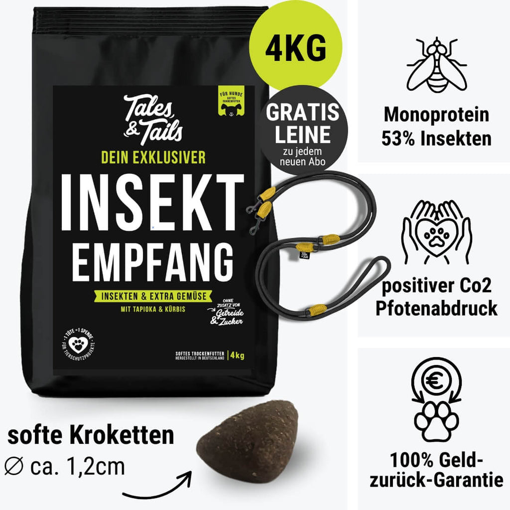 InSektempfang