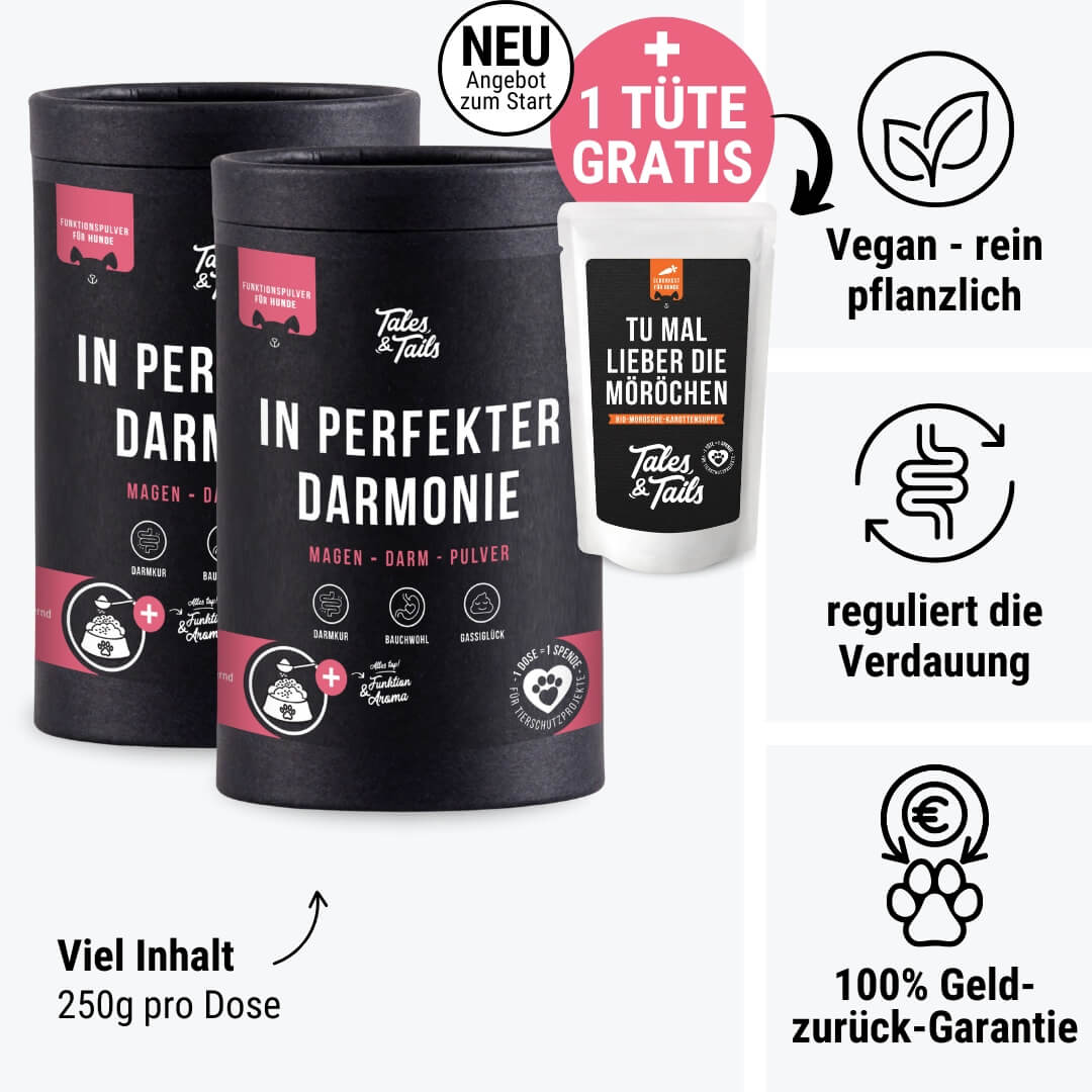 In perfekter Darmonie