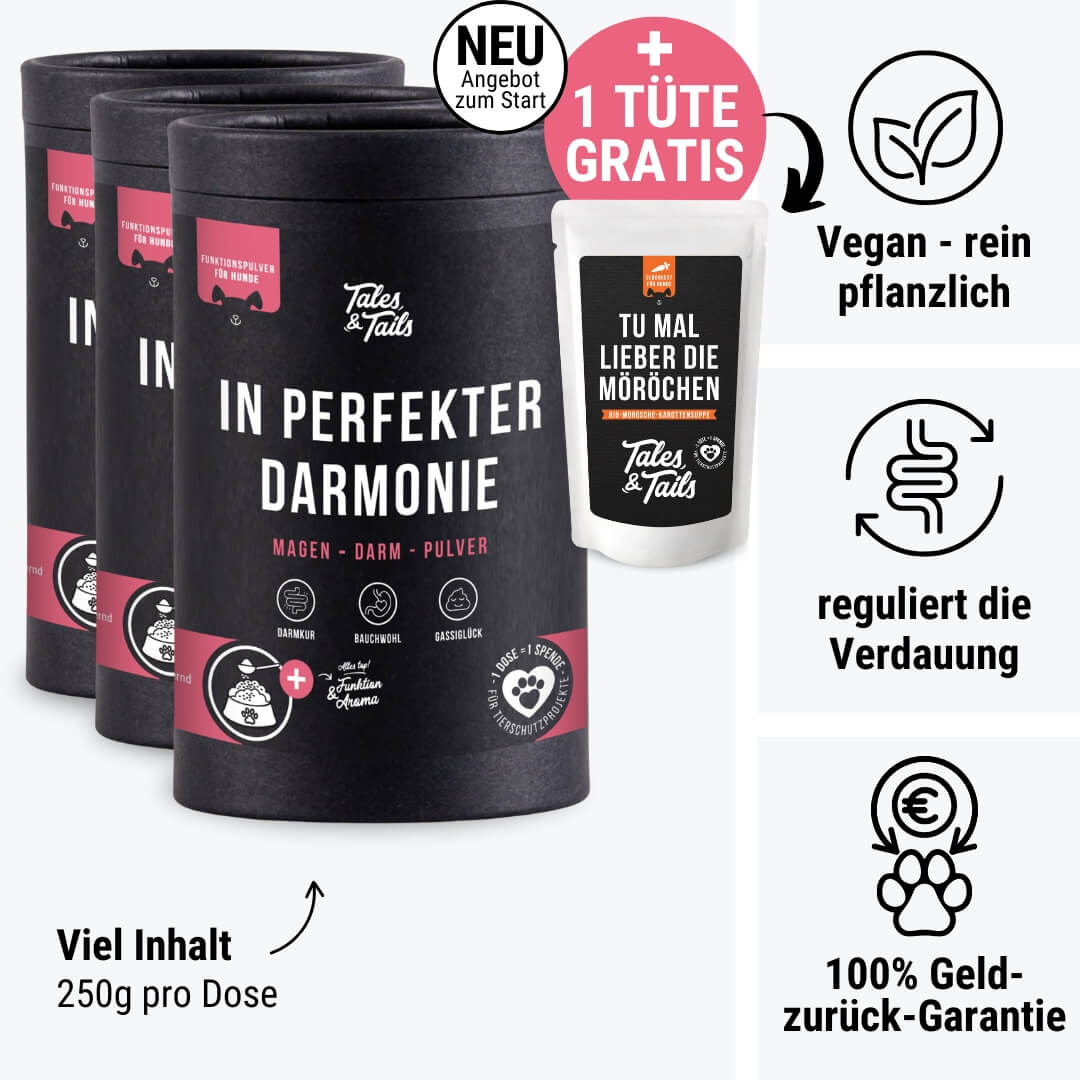 In perfekter Darmonie