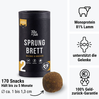 Sprungbrett