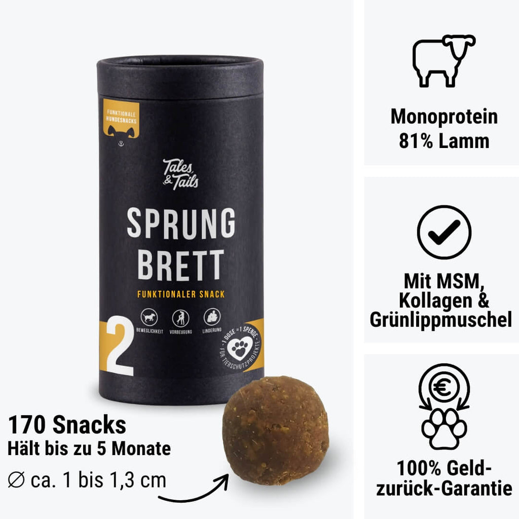 Sprungbrett