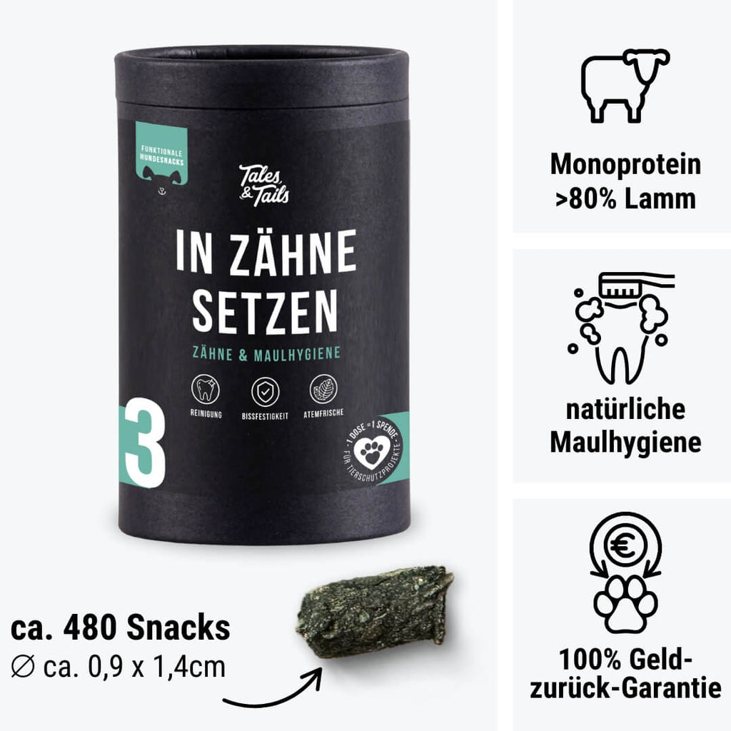 In Zähne setzen