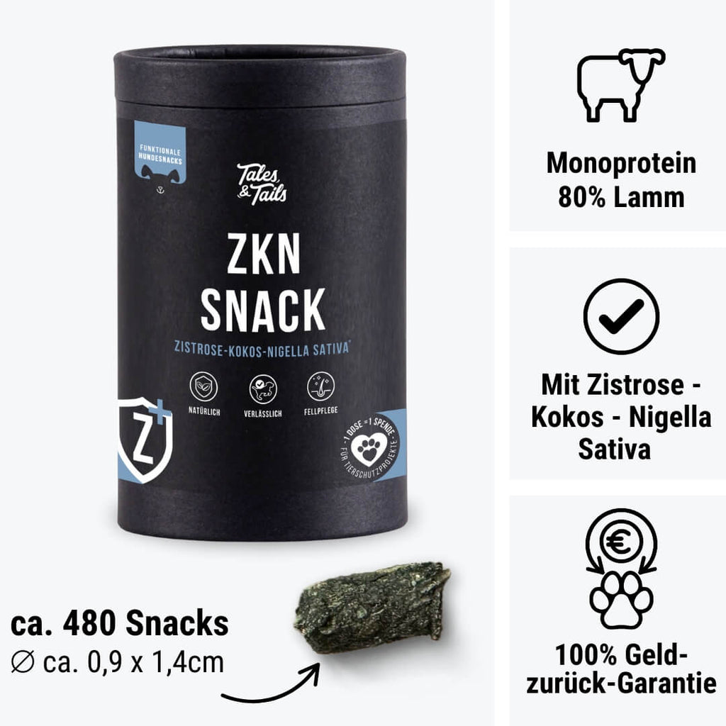 ZKN - Snack