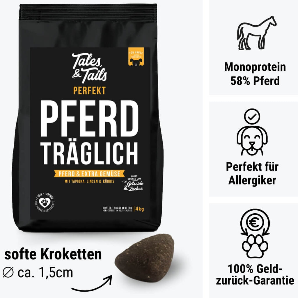 Perfekt PferdTräglich