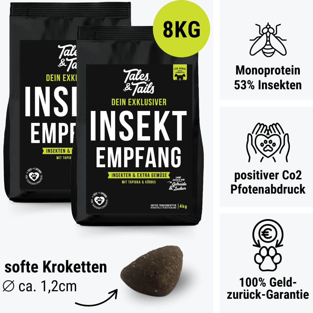 InSektempfang