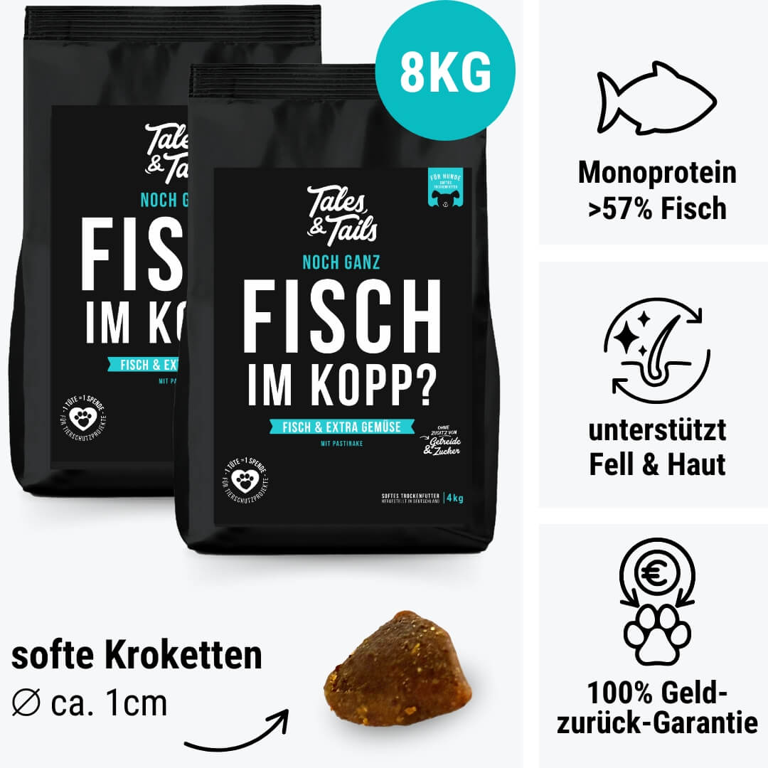 Noch ganz Fisch im Kopp?