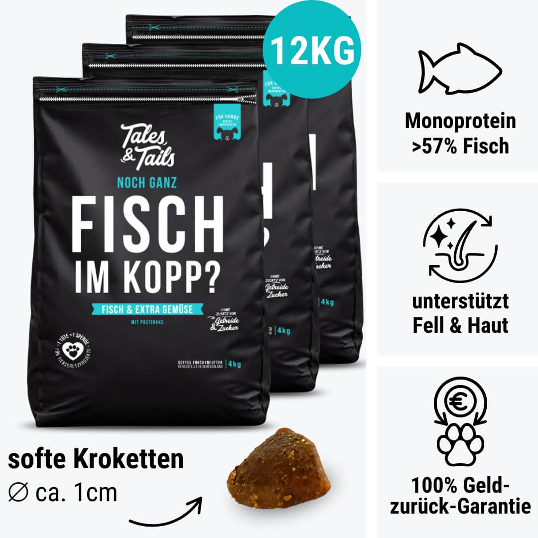 Noch ganz Fisch im Kopp?