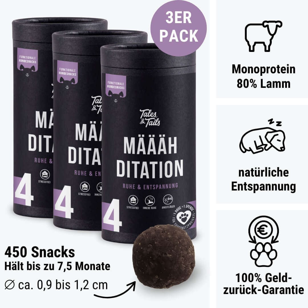 Määähditation