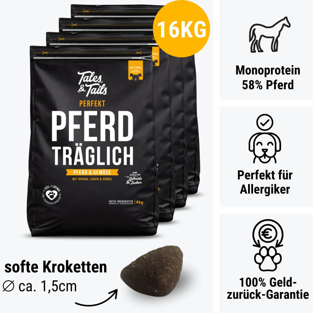 Perfekt PferdTräglich