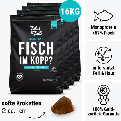 Noch ganz Fisch im Kopp?