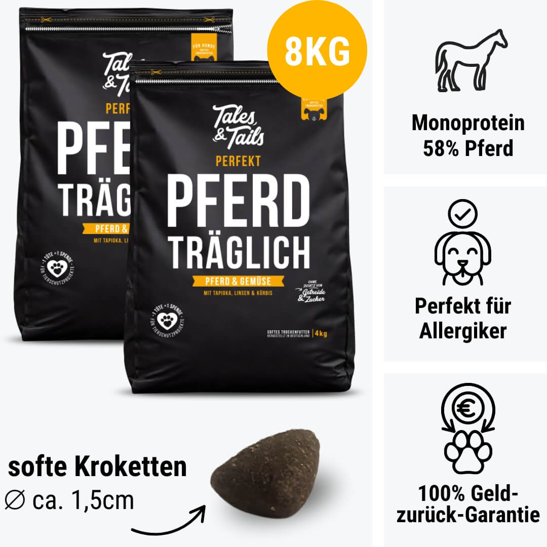 Perfekt PferdTräglich