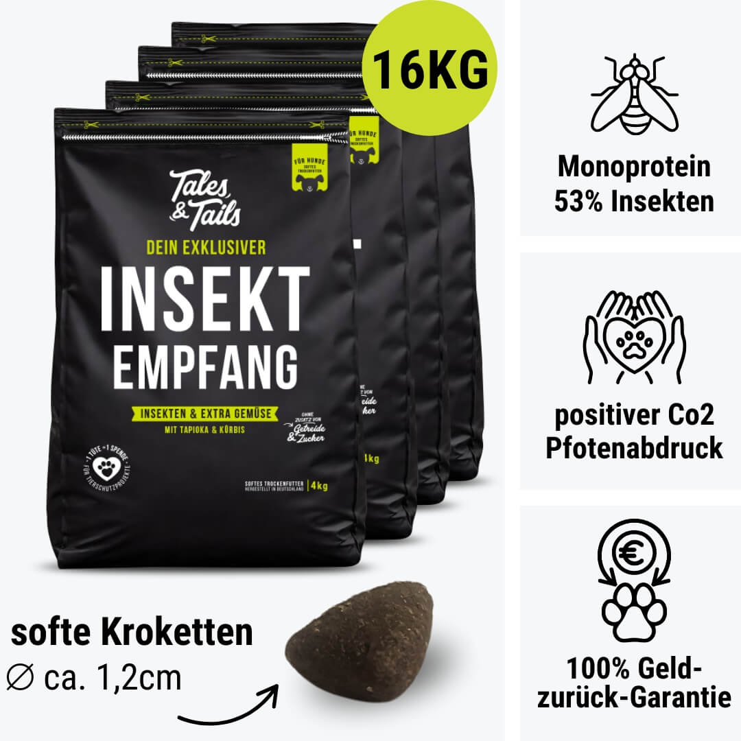 InSektempfang