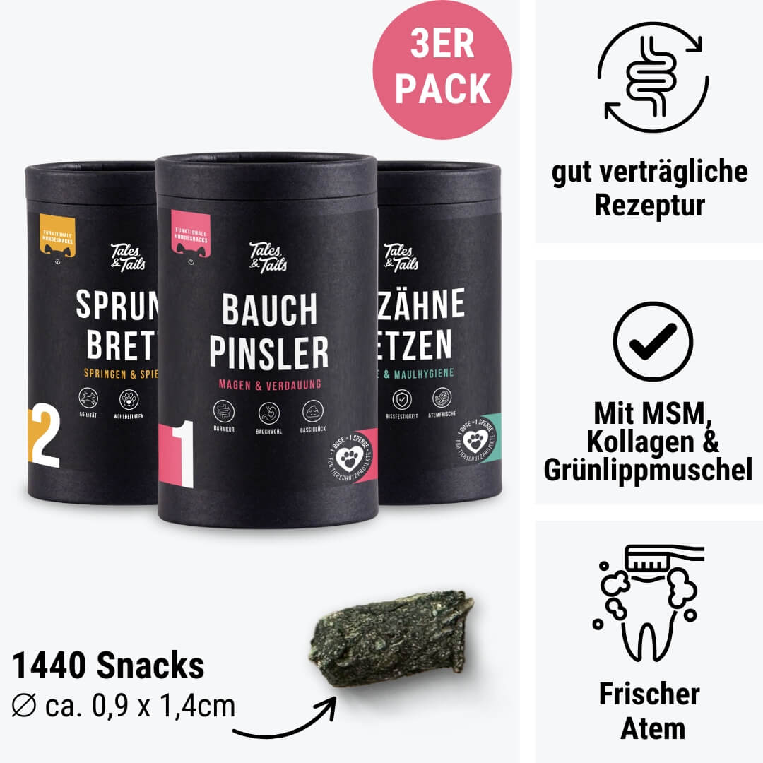Rundum-Sorglos-Paket