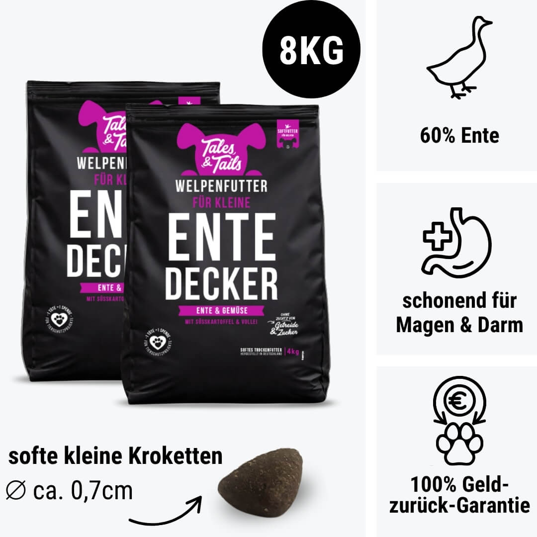 Für kleine EnteDecker