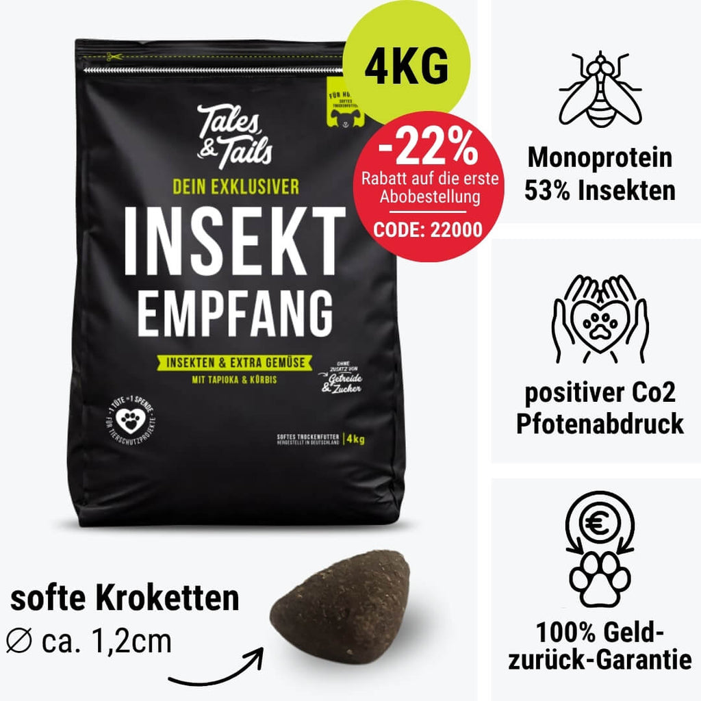 InSektempfang