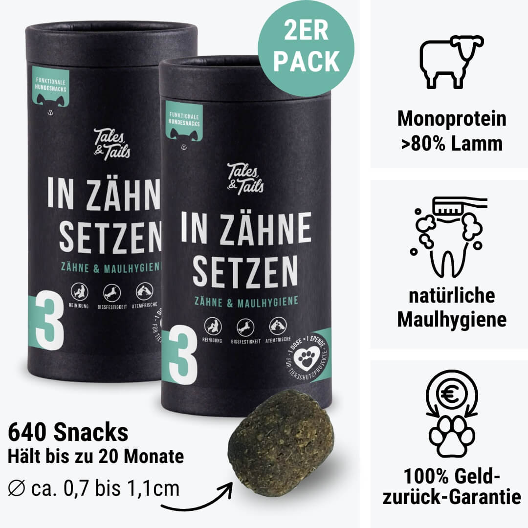 In Zähne setzen