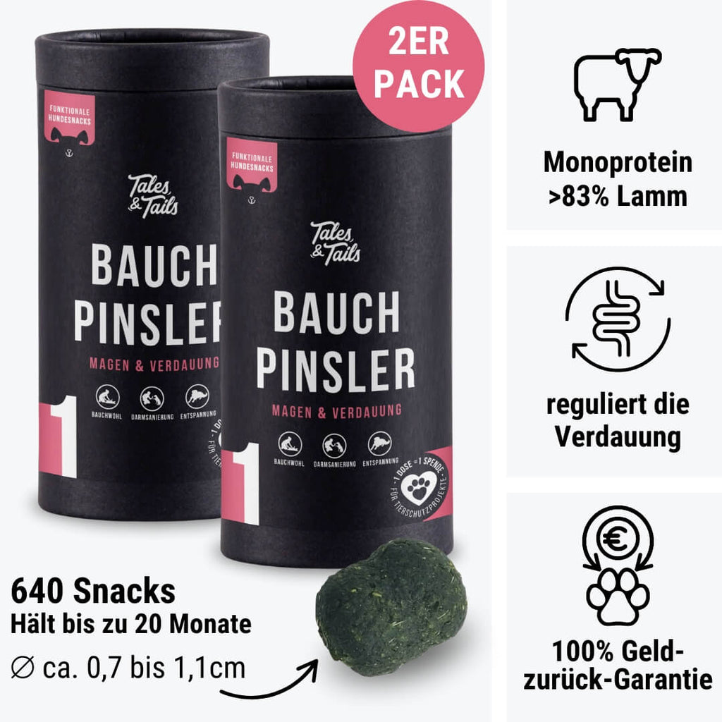 Bauchpinsler