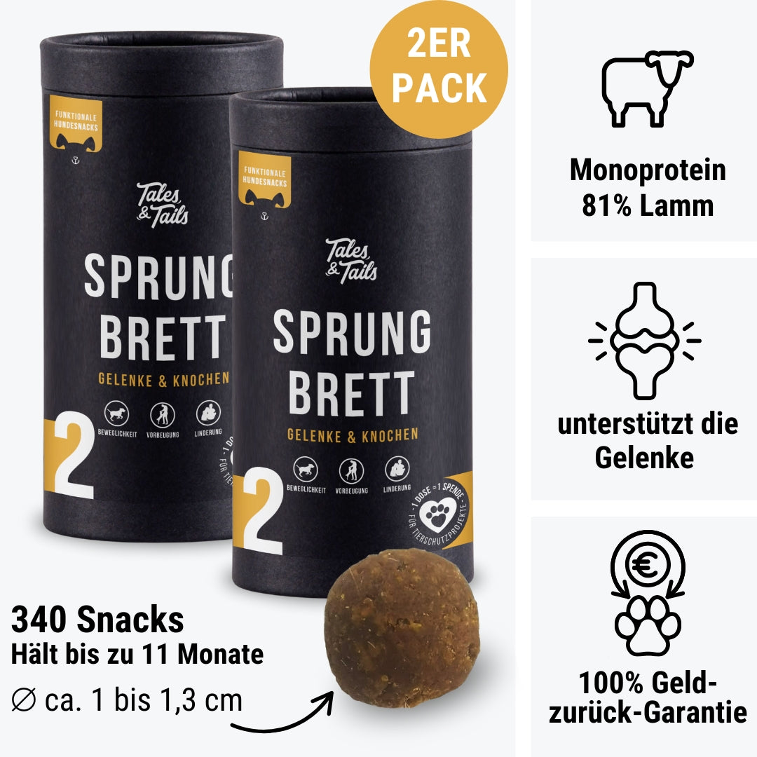 Sprungbrett