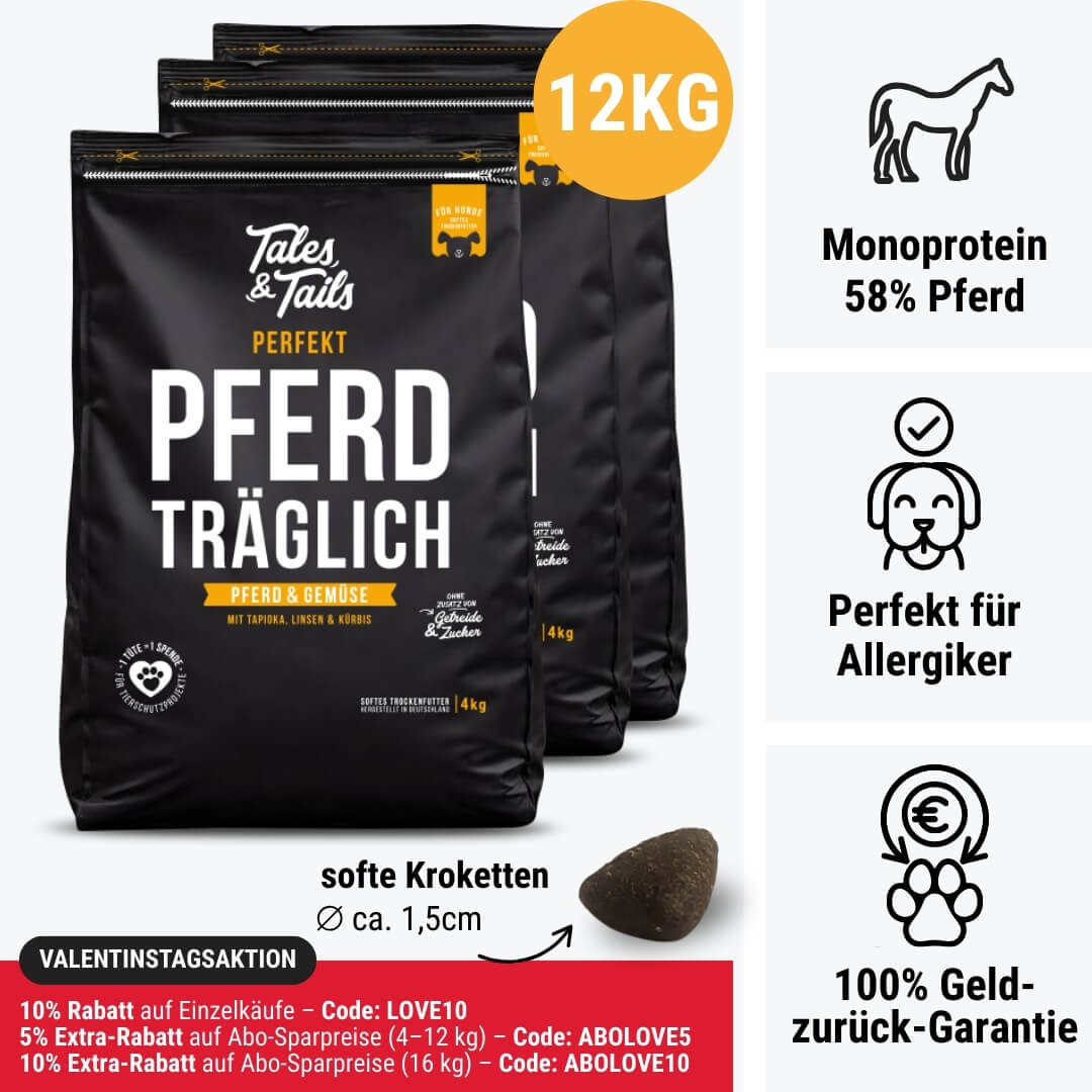 Perfekt PferdTräglich