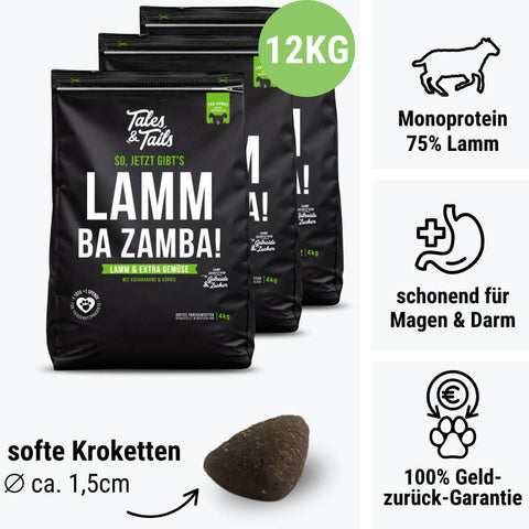 LammBa Zamba!