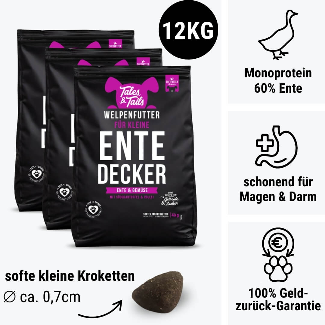 Für kleine EnteDecker