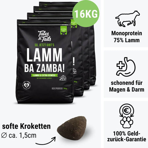LammBa Zamba!