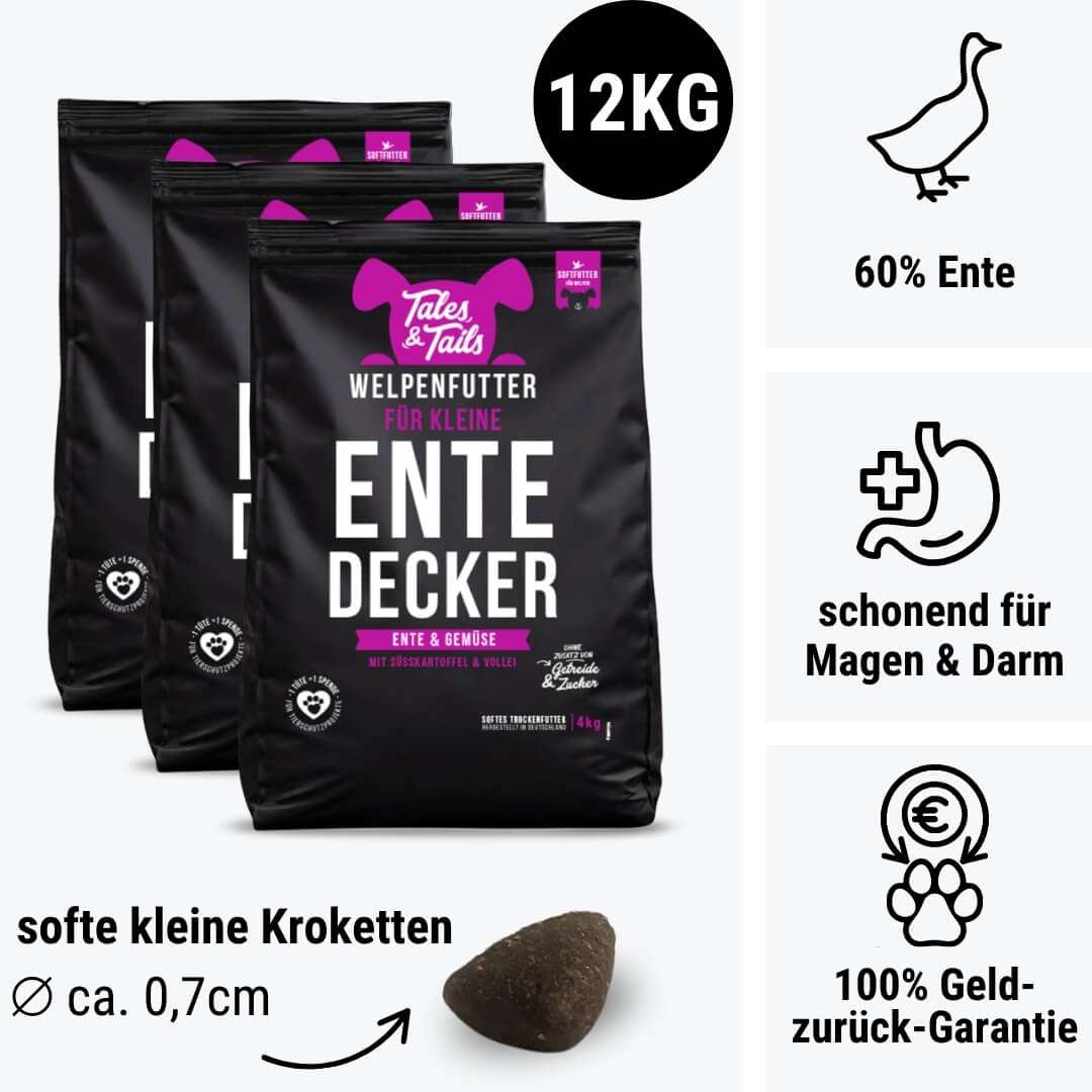 Für kleine EnteDecker