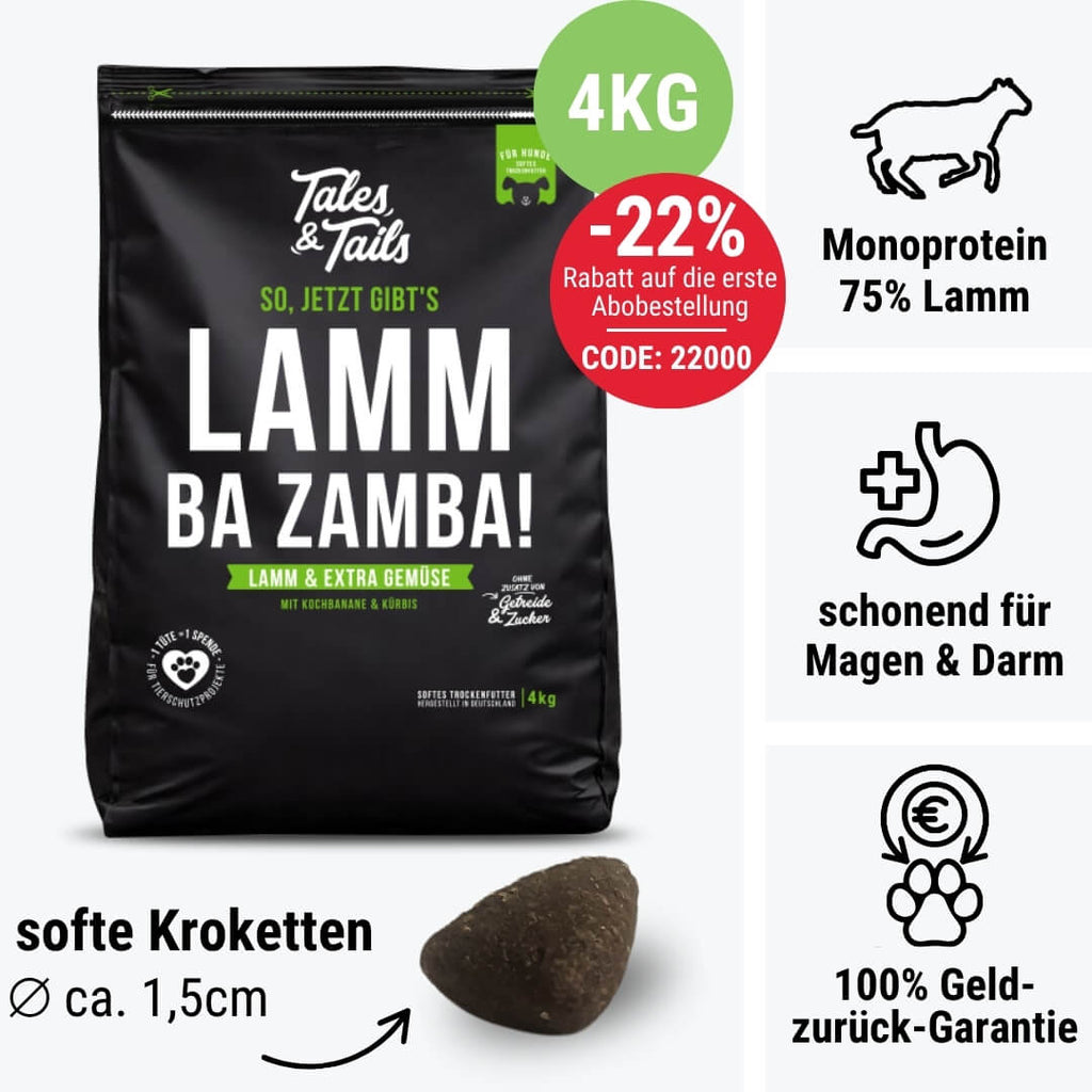LammBa Zamba!