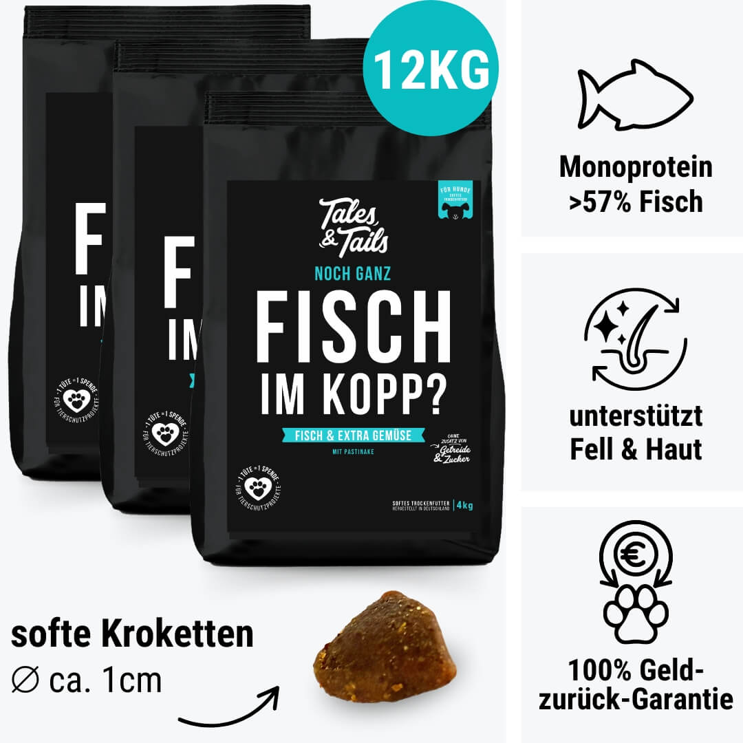 Noch ganz Fisch im Kopp?