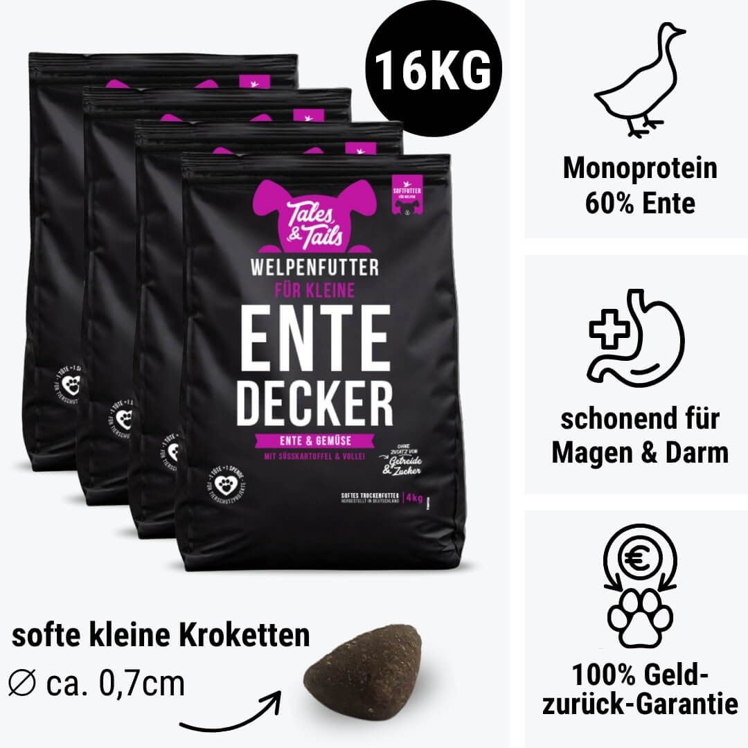 Für kleine EnteDecker