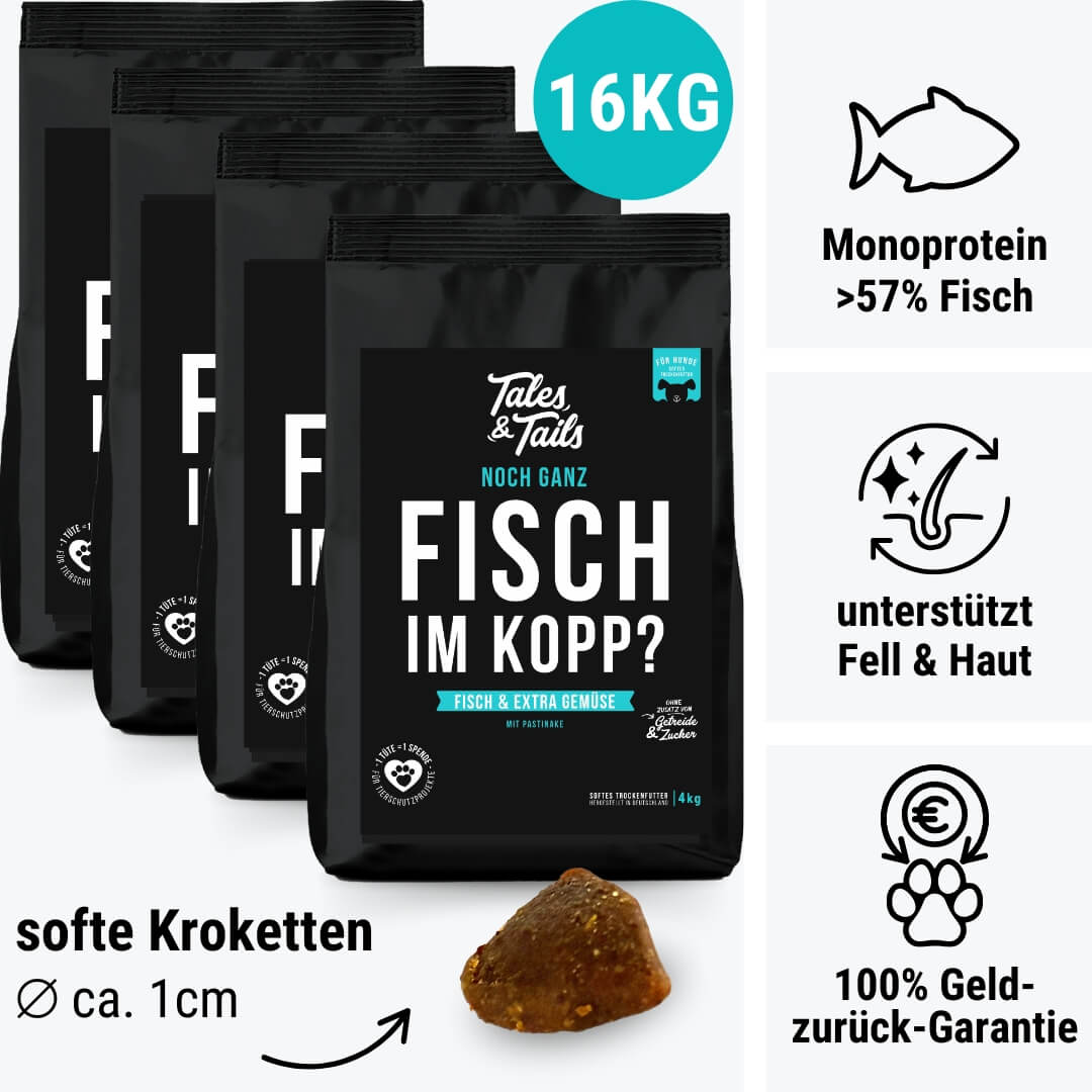 Noch ganz Fisch im Kopp?