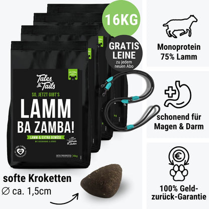 LammBa Zamba!