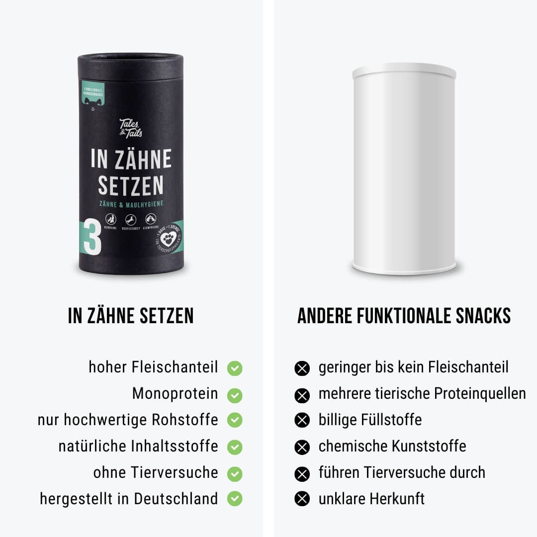 In Zähne setzen