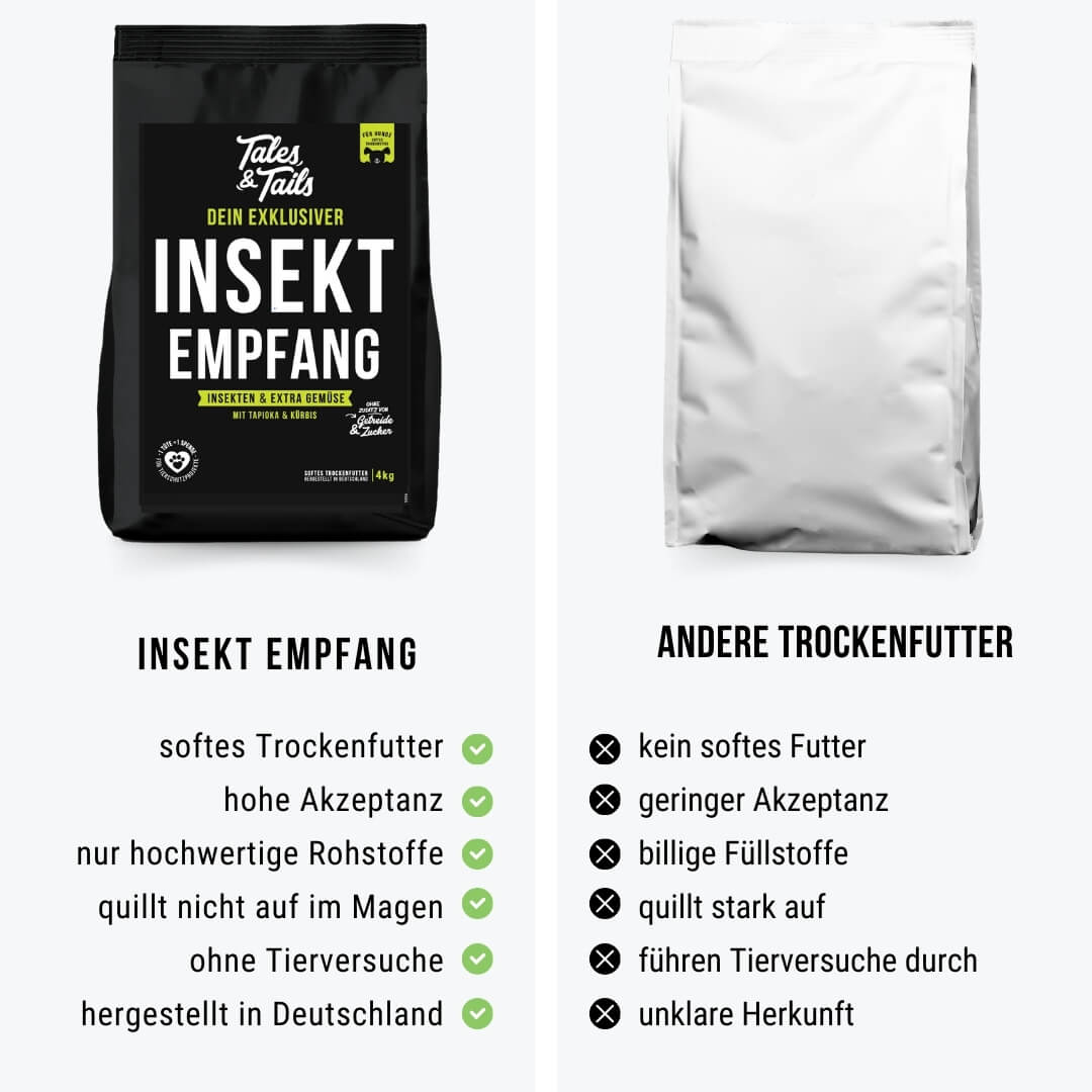 InSektempfang